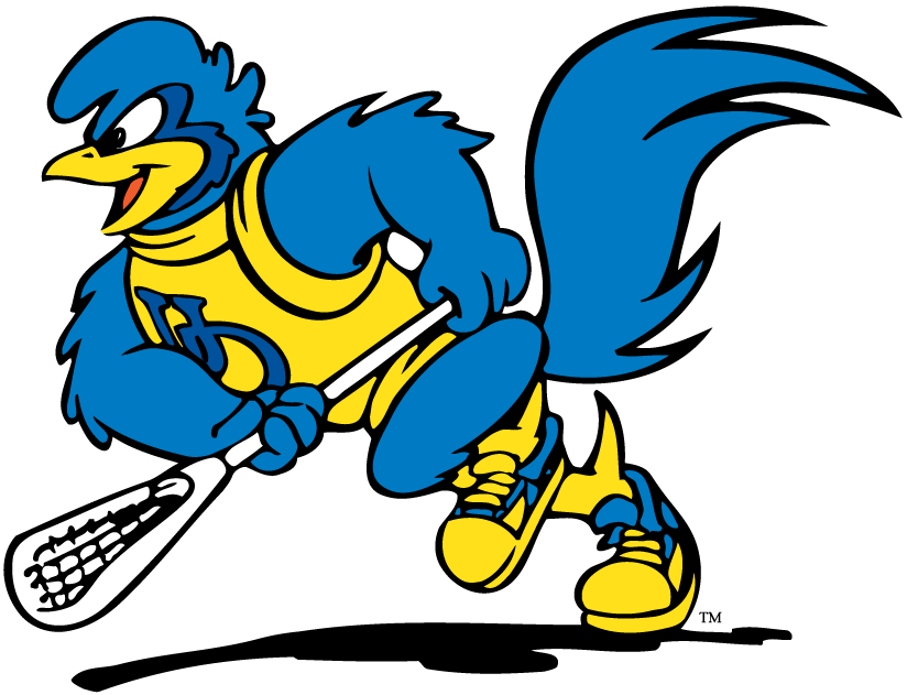 delaware blue hens 1993-pres mascot Logo v4 DIY iron on transfer (heat transfer)